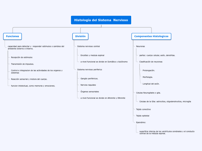 Organigrama arbol