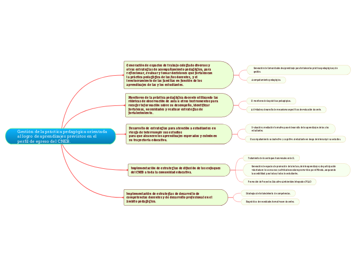 Gestión de la práctica pedagógica orientada al logro de aprendizajes previstos en el perfil de egreso del CNEB.