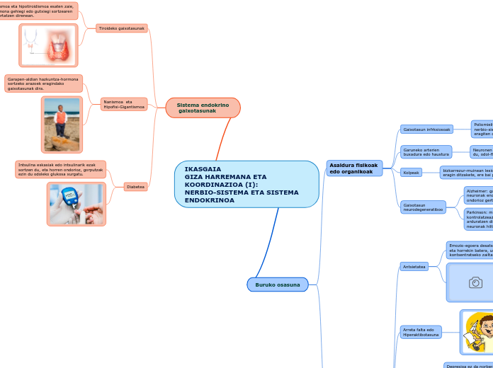 IKASGAIA
GIZA HARREMANA ETA KOORDINAZIOA (I):
NERBIO-SISTEMA ETA SISTEMA ENDOKRINOA