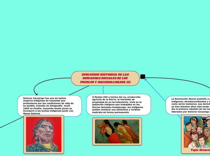 EVOLUCION HISTORICA DE LAS DEMANDAS SOCIALES DE LOS PUEBLOS Y NACIONALIDADES (II)