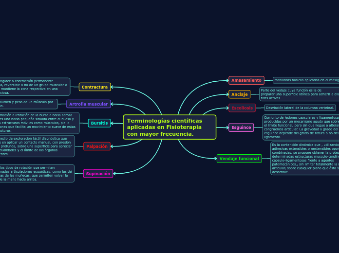 Terminologías científicas aplicadas en Fisioterapia con mayor frecuencia.