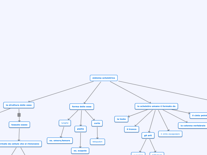 sistema scheletrico