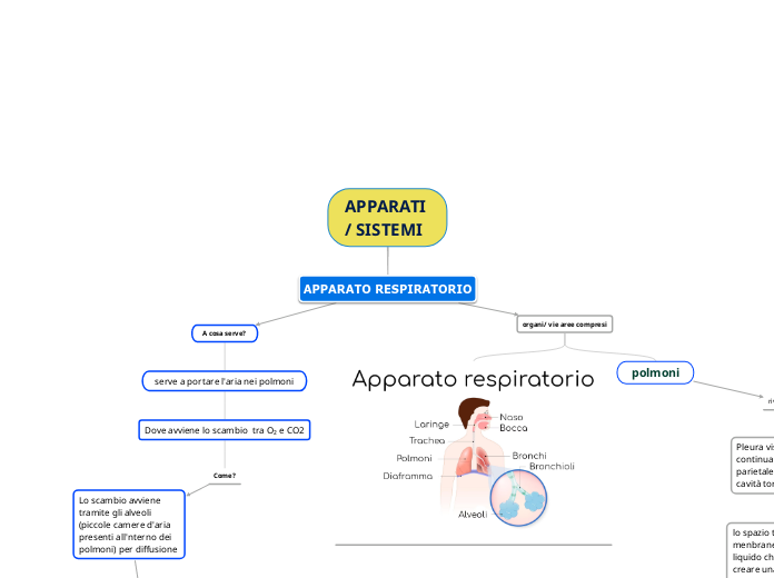 APPARATI/ SISTEMI