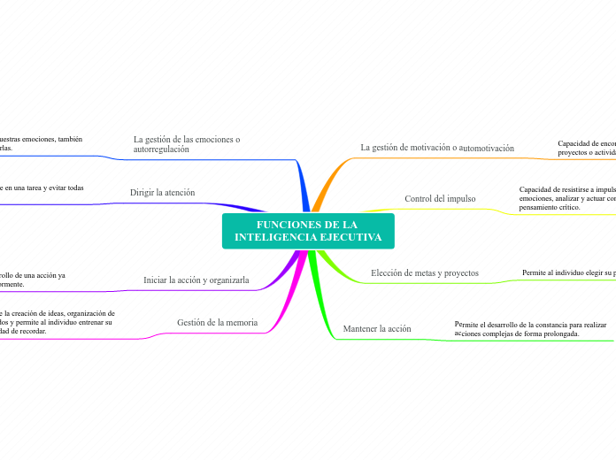 FUNCIONES DE LA INTELIGENCIA EJECUTIVA