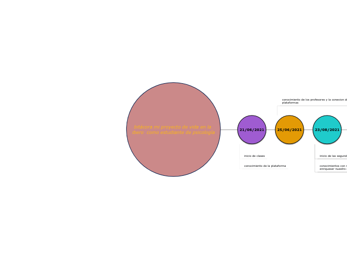 bitácora mi proyecto de vida en la ibero  como estudiante de psicología