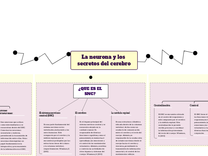 La neurona y los secretos del cerebro