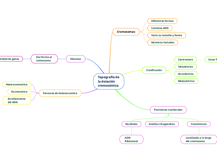 Topografía de la dotación cromosómica