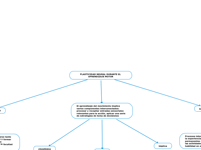 PLASTICIDAD NEURAL DURANTE EL APRENDIZAJE MOTOR
