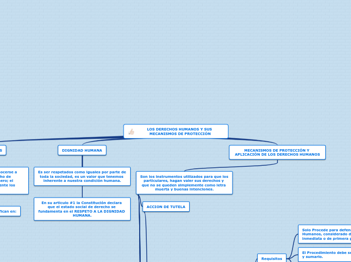 Mecanismos de Proteccion de los Derechos Humanos