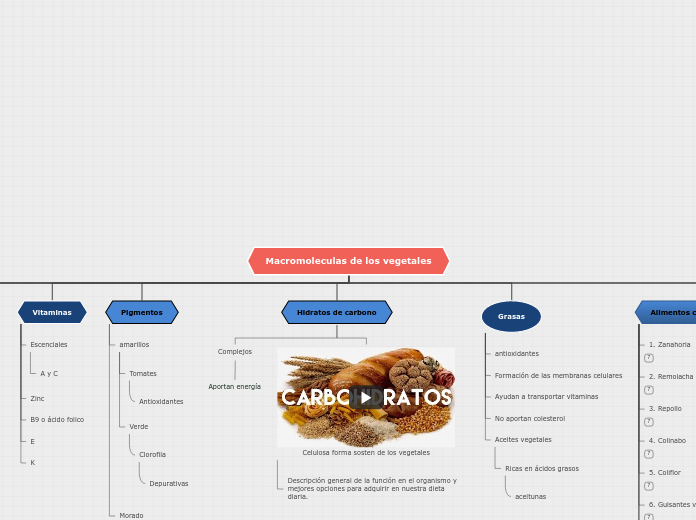 Organigrama arbol