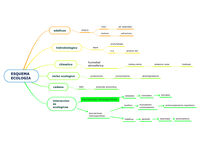 ESQUEMA ECOLOGIA