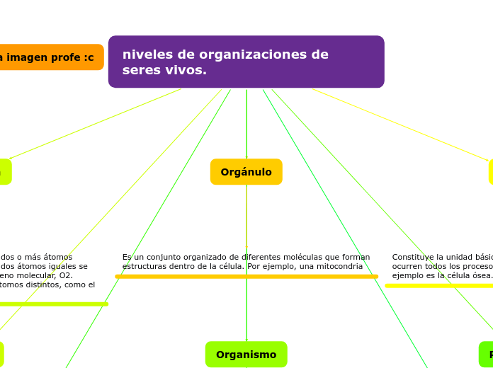 niveles de organizaciones de seres vivos.