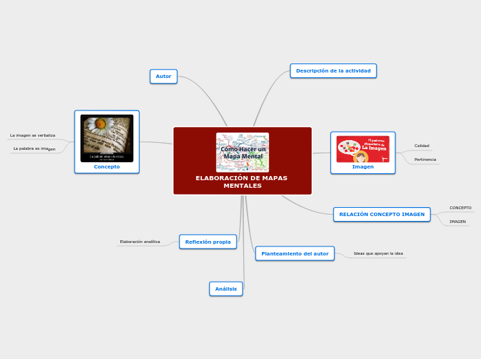 ELABORACIÓN DE MAPAS MENTALES