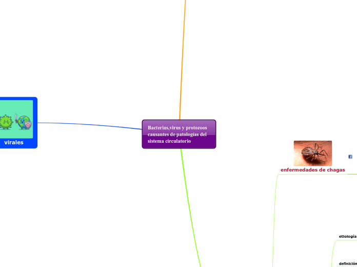 Bacterias,virus y protozoos causantes de patologías del sistema circulatorio