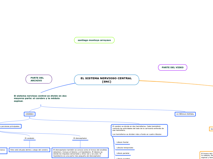 EL SISTEMA NERVIOSO CENTRAL (SNC)