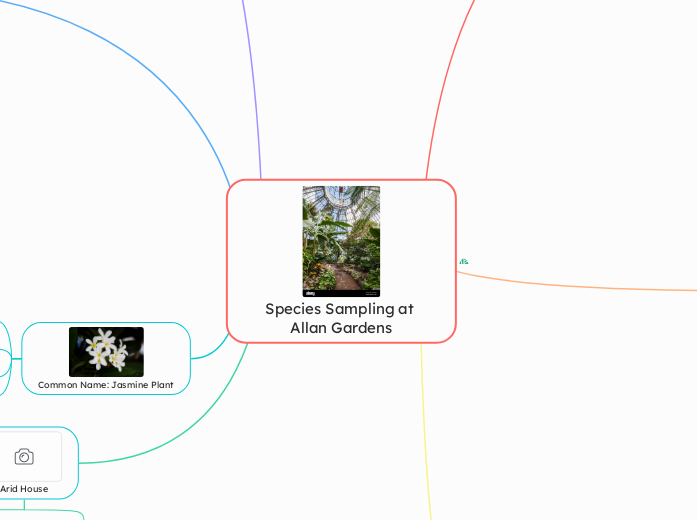 Species Sampling at Allan Gardens