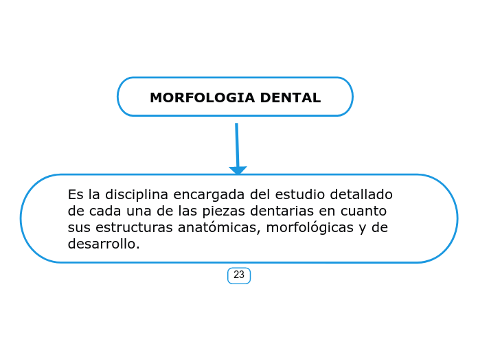 MORFOLOGIA DENTAL