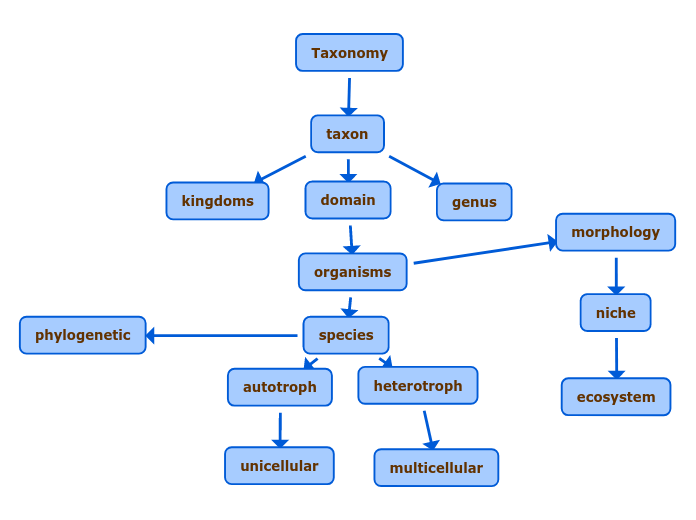 Taxonomy