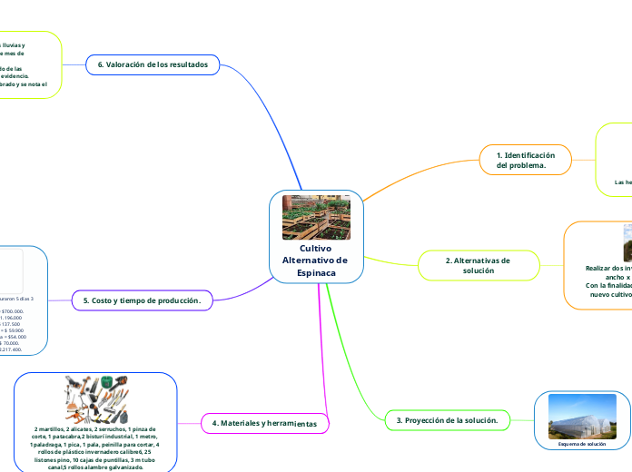 Cultivo Alternativo de Espinaca