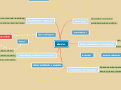 Mapa de ideias Maria Correia