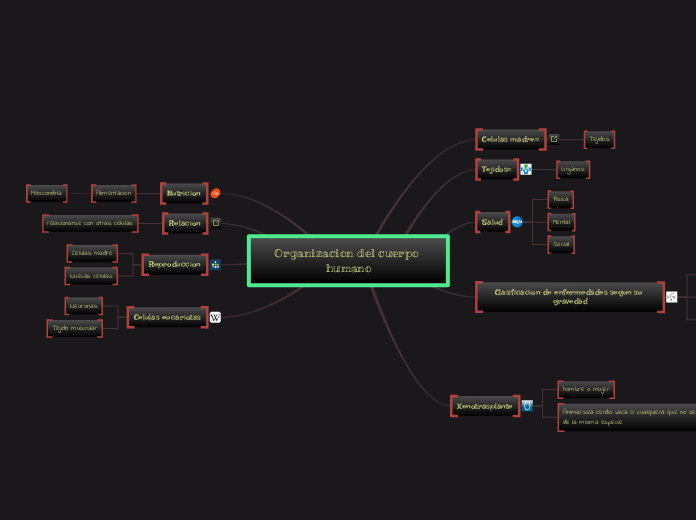 Organizacion del cuerpo humano