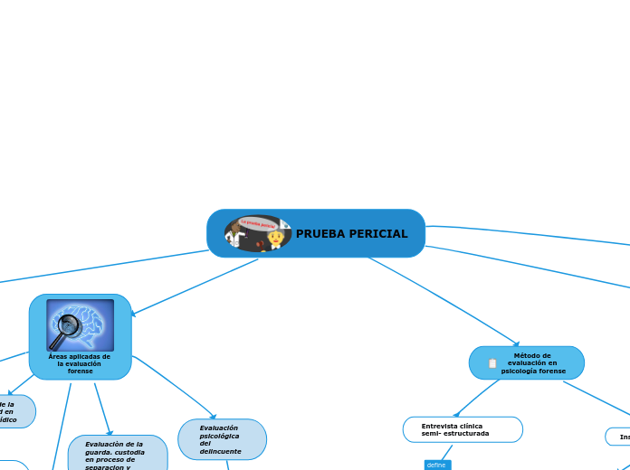 PRUEBA PERICIAL