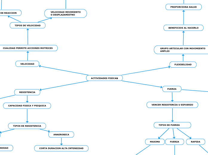 ACTIVIDADES FISICAS