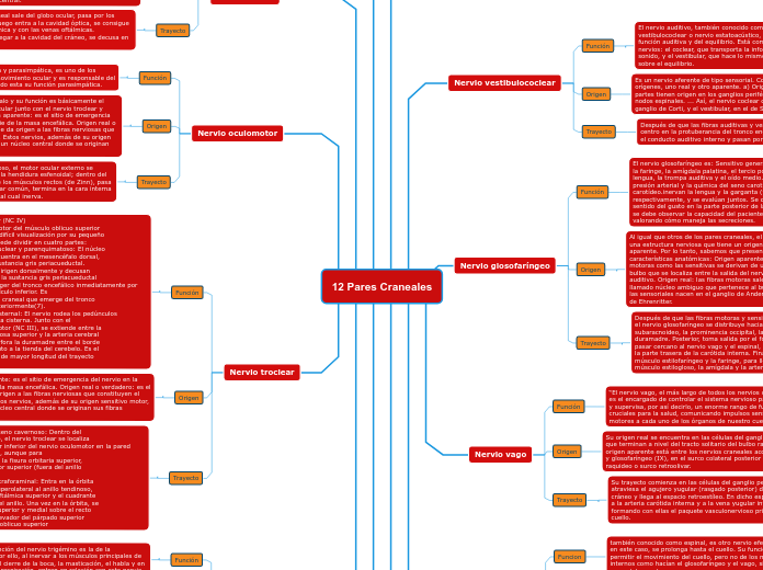 12 Pares Craneales