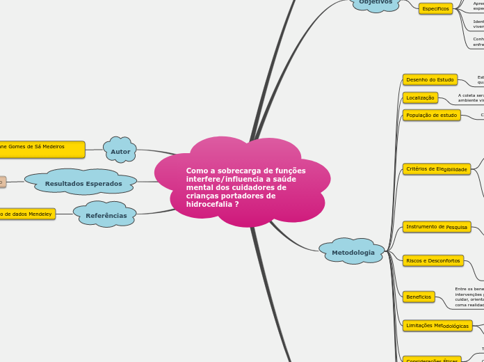 2Como a sobrecarga de funções interfere/influencia a saúde mental dos cuidadores de crianças portadores de hidrocefalia ?