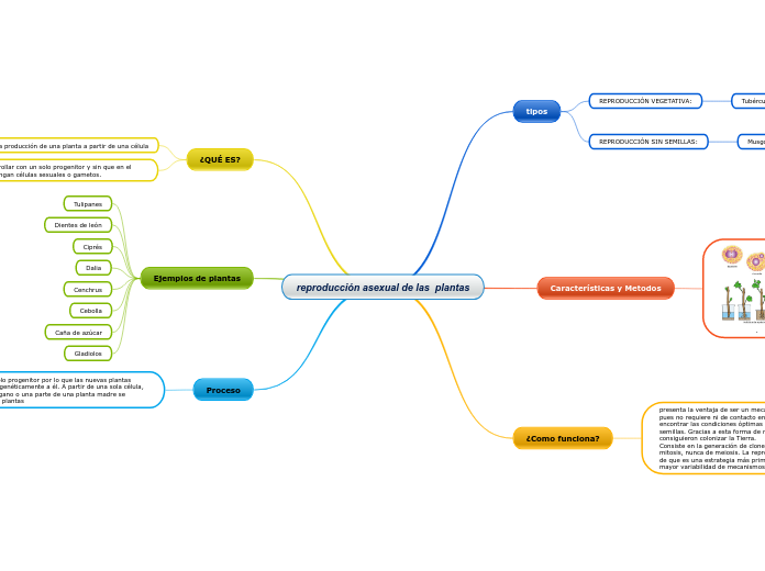 reproducción asexual de las  plantas