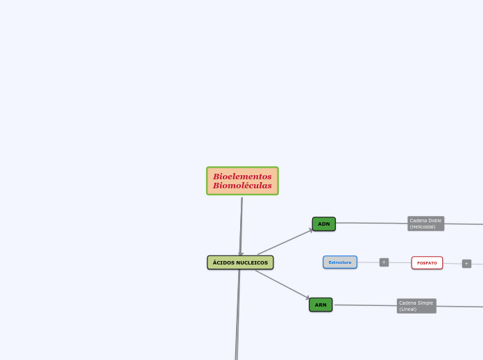 Bioelementos
Biomoléculas