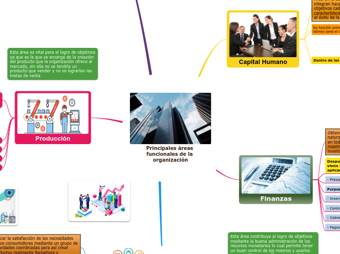 Principales áreas funcionales de la organización