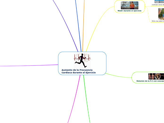 Aumento de la Frecuencia Cardiaca durante el Ejercicio