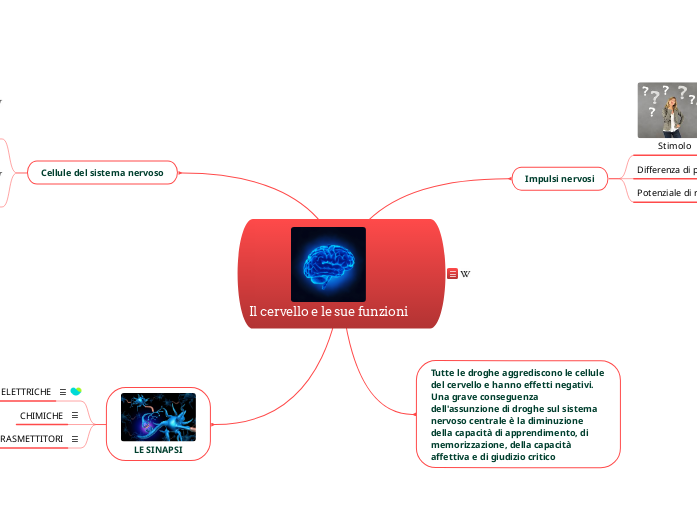 Il cervello e le sue funzioni
