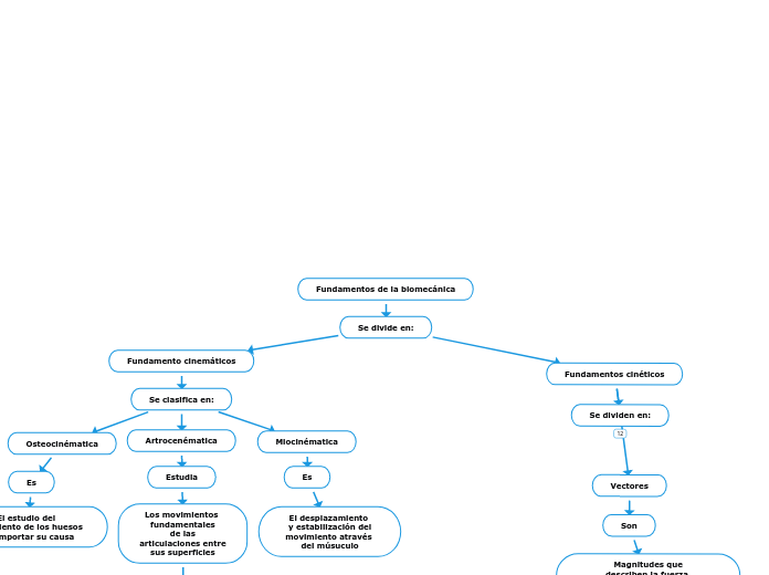 Fundamentos de la biomecánica