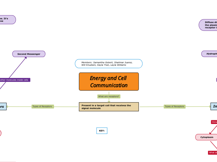 Energy and Cell Communication