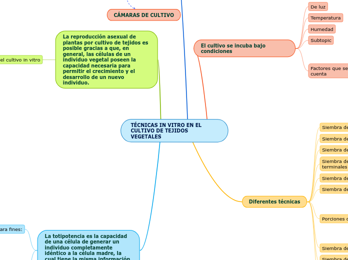 TÉCNICAS IN VITRO EN EL CULTIVO DE TEJIDOS                   VEGETALES