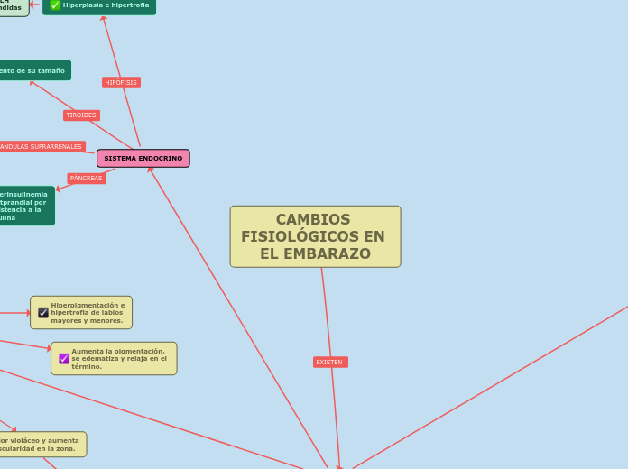 CAMBIOS FISIOLÓGICOS EN EL EMBARAZO