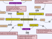 Epistemología y Ciencia