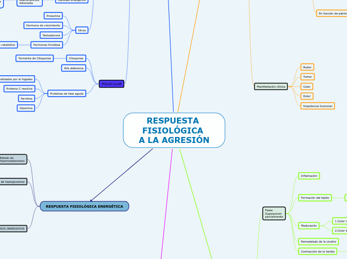 RESPUESTA FISIOLÓGICA 
A LA AGRESIÓN