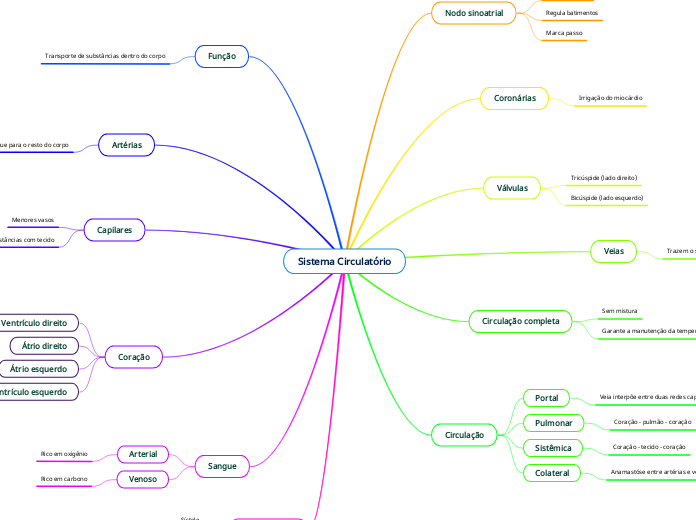 Sistema Circulatório