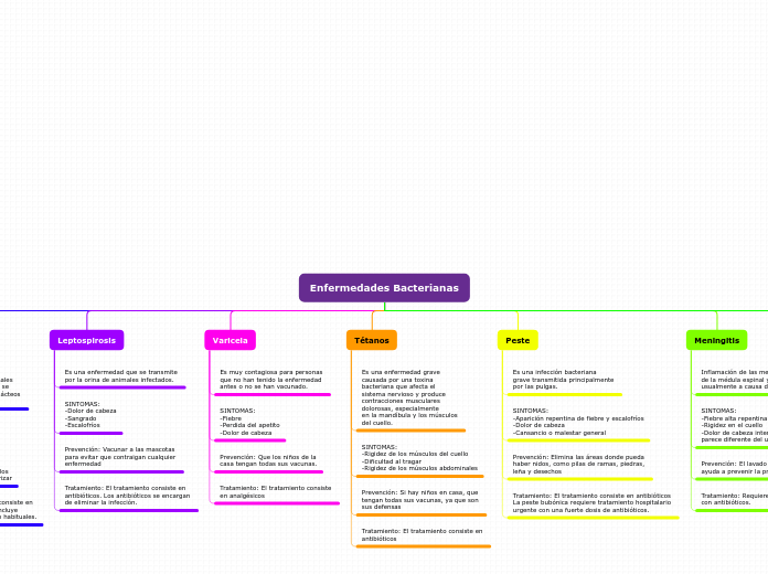 Organigrama arbol