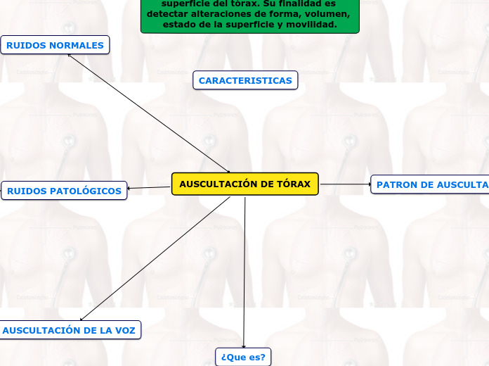 AUSCULTACIÓN DE TÓRAX