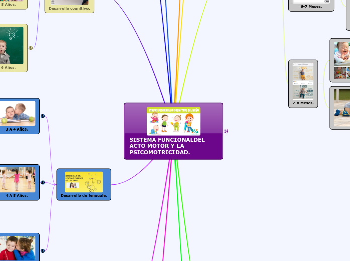 SISTEMA FUNCIONALDEL ACTO MOTOR Y LA PSICOMOTRICIDAD.