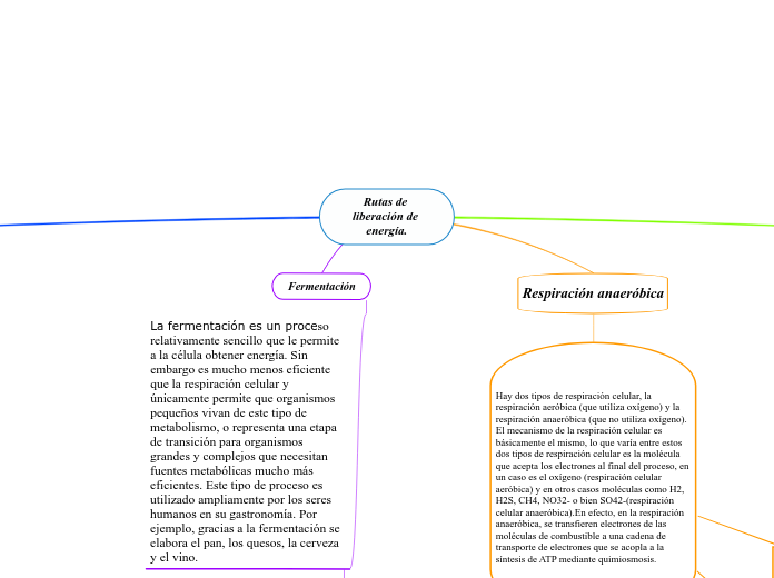 Rutas de liberación de energía.