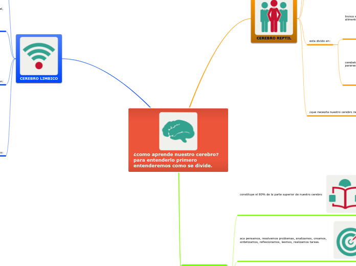 ¿como aprende nuestro cerebro? para entenderlo primero entenderemos como se divide.