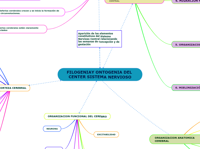 FILOGENIAY ONTOGENIA DEL CENTER SISTEMA NERVIOSO