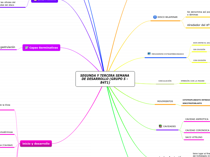 SEGUNDA Y TERCERA SEMANA DE DESARROLLO (GRUPO 5 - B4T1)