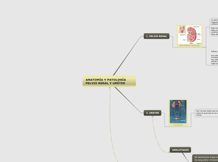 ANATOMÍA Y PATOLOGÍA        PELVIS RENAL Y URÉTER