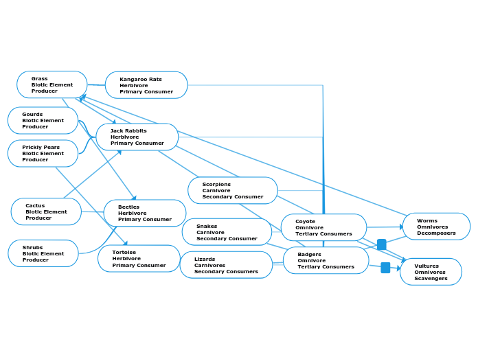 Coyote
Omnivore
Tertiary Consumers